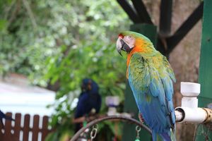 Image post by @visitsarasotacounty on Instagram