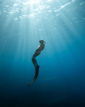 Image post by @griffingibson_ on Instagram