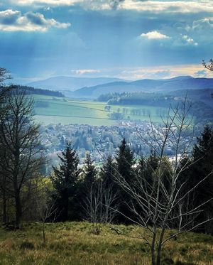 Image post by @israeldavidgroveman on Instagram