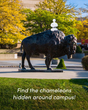 Image post by @universityatbuffalo on Instagram