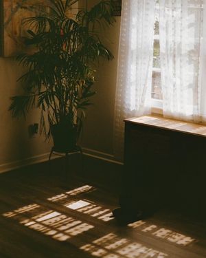 Image post by @michael_edson on Instagram
