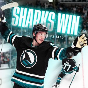 Image post by @sanjosesharks on Instagram