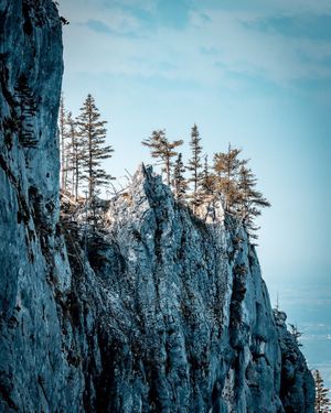 Image post by @cristan.nature.photography on Instagram