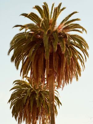 Image post by @benjaminalbuisson on Instagram