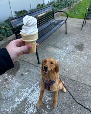 Image post by @duquesnedining on Instagram