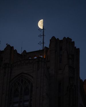 Image post by @pittofficial on Instagram