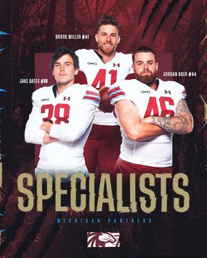 Image post by @uflpanthers on Instagram