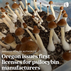 Image post by @theoregonian on Instagram