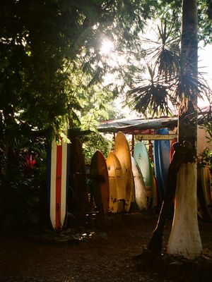 Image post by @annaburnsy on Instagram