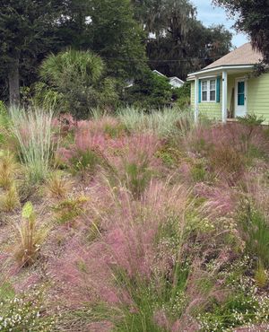 Image post by @ahs_gardening on Instagram