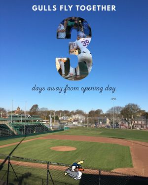 Image post by @newportgulls on Instagram