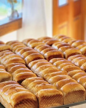 Image post by @nos.bakehouse on Instagram