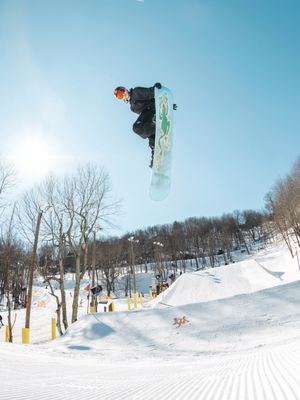 Image post by @appterrainpark on Instagram