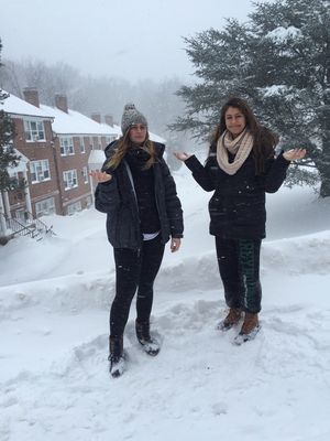 Image post by @LoyolaWSOC on Twitter