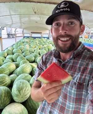 Image post by @RossChastain on Twitter