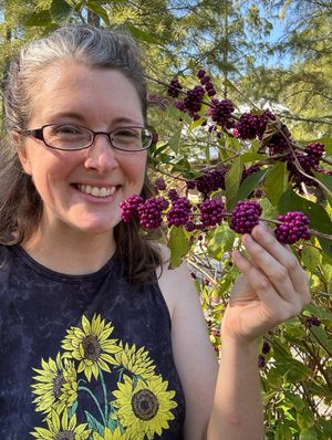 Image post by @annathearcher on Instagram