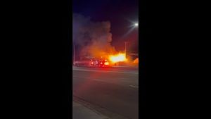 Video post by @kmphfox26 on YouTube