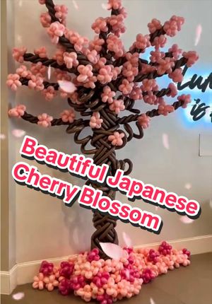 Video post by @balloonjosh on TikTok