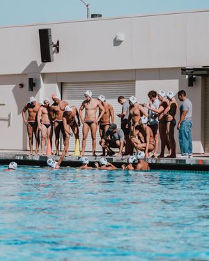Image post by @lbccaquatics on Instagram
