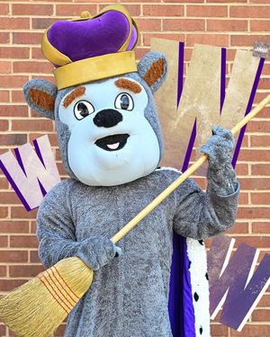Image post by @jmusoftball on Instagram