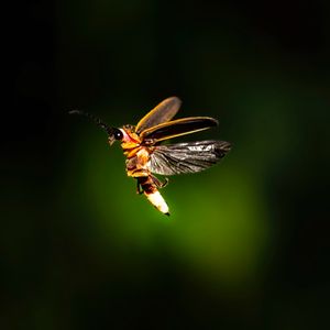 Image post by @discovery on Instagram