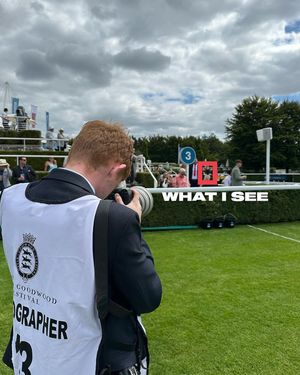 Image post by @worldhorseracing on Instagram