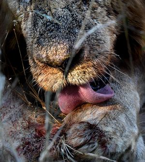 Image post by @guybrunskillphoto on Instagram