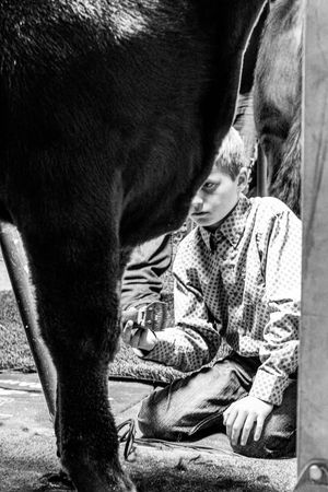 Image post by @AmericanRoyalLivestock on Facebook