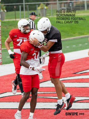 Image post by @isuredbirdfb on Instagram
