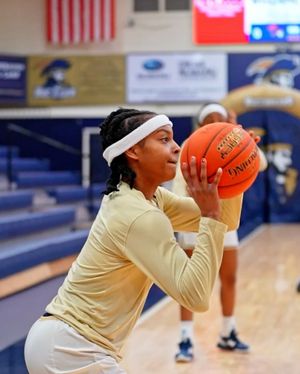 Image post by @csubucswbb on Instagram