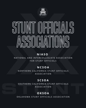 Image post by @stuntthesport on Instagram