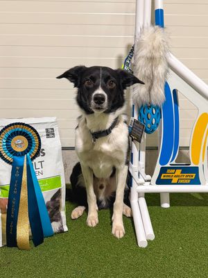 Image post by @enyahabl on Instagram