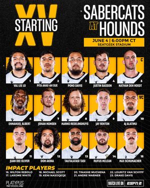 Image post by @houstonsabercats on Instagram