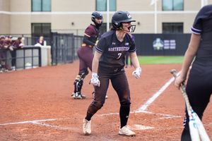 Image post by @NUSBcats on Twitter