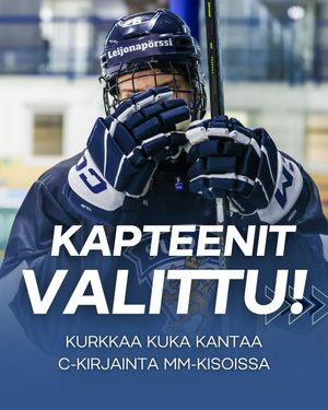 Image post by @leijonatfi on Instagram