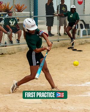 Image post by @usfsoftball on Instagram