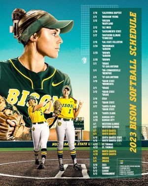 Image post by @ndsusoftball on Instagram