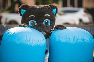 Image post by @SirPurr on Twitter