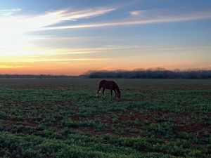 Image post by @txextension on Instagram