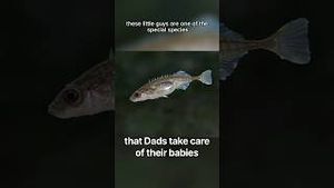 Video post by @Penn State University on YouTube