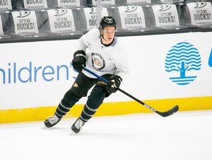 Image post by @anaheimducks on Instagram