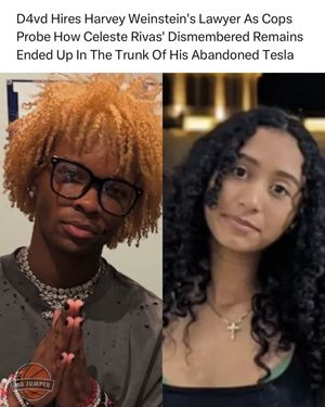 Image post by @nojumper on Instagram