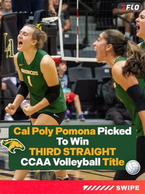Image post by @flocollegevolleyball on Instagram