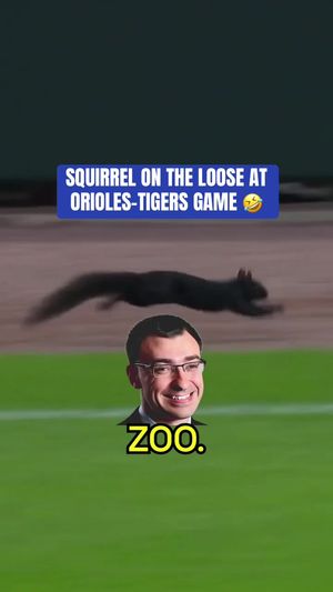 Video post by @nbcsports on TikTok