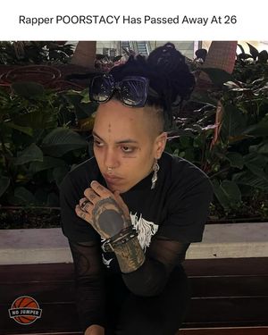 Image post by @nojumper on Instagram