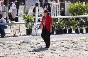 Image post by @ugaequestrian on Instagram