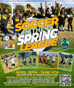 Image post by @DetroitParksRec on Facebook