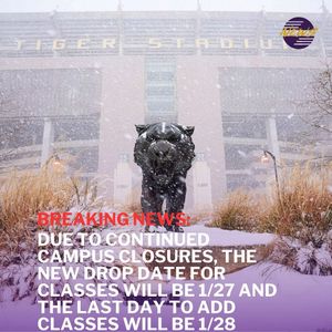 Image post by @lsutigertv on Instagram