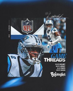 Image post by @panthers on Instagram