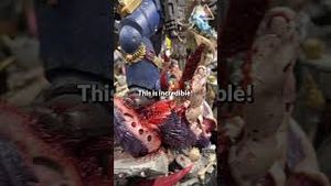 Video post by @nerdist on YouTube